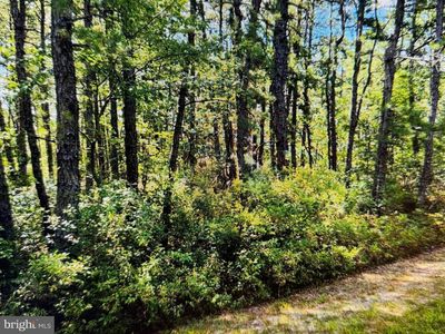 2341 7th Ave, Hammonton, NJ, 08037