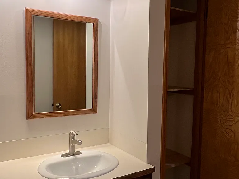 sink in half bath. Large closet for towels, amenities. Large vanity with side drawers (not in picture)