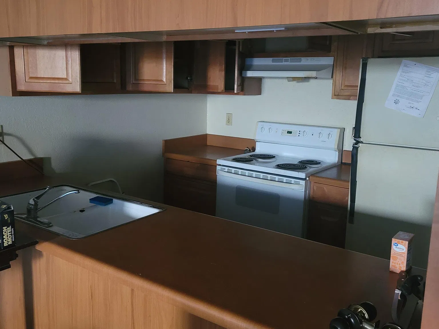 1 bed, 645 sqft, $1,900 — Photo 3