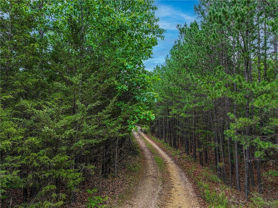2nd image of Thunder Rd #15