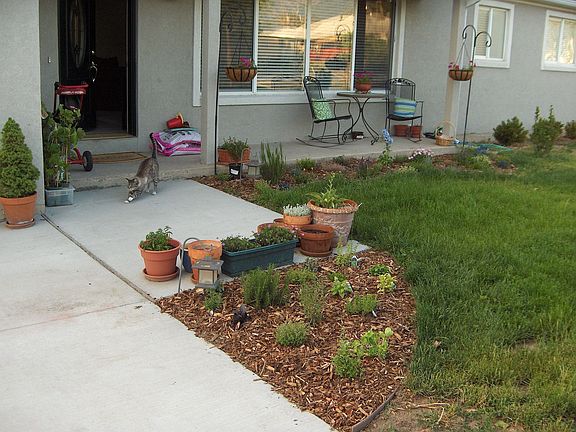 New landscaping front yard flower beds and herb garden