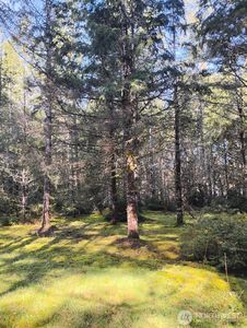 1731 E Saint Andrews Dr. N, Shelton, WA, 98584