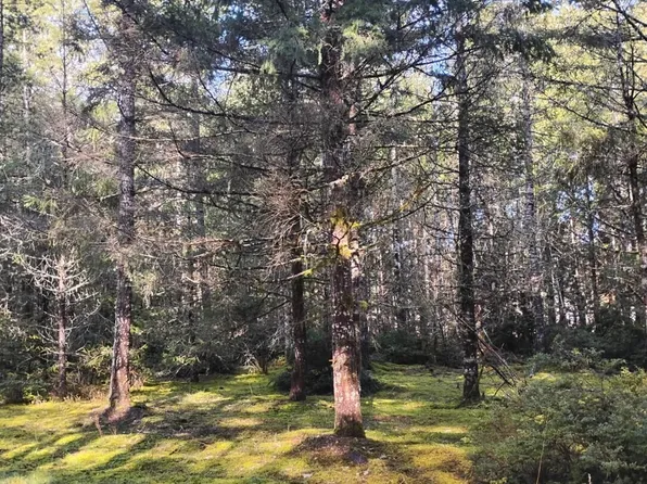 1731 E Saint Andrews Dr. N, Shelton, WA 98584