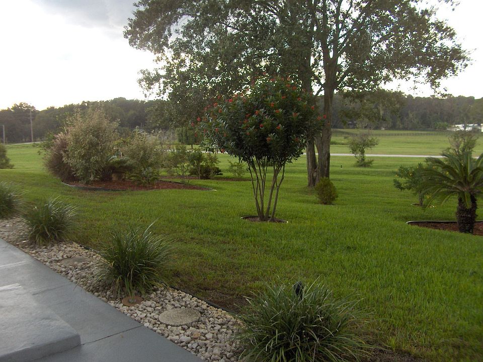 Professionally Landscaped