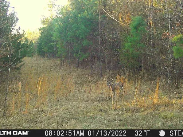 N Tram Rd, Fort Towson, OK 74735