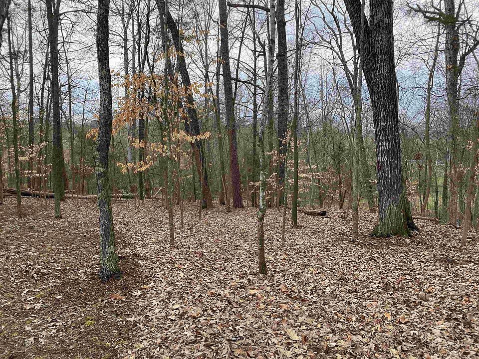 2nd image of LOT 3 Sania Ct Lot 3