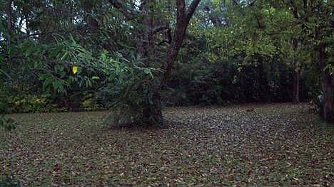 2nd image of 406-A Durden St