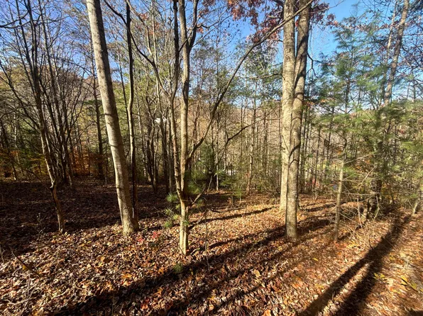 11/AC Highway 19 E, Hampton, TN 37658