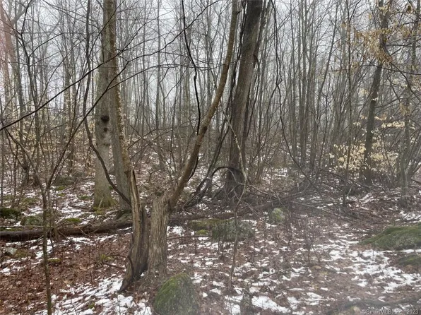 295 Boston Post Road, Old Lyme, CT 06371