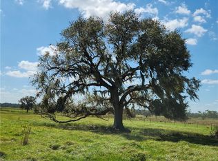 1008 Cattle Ranch Rd, Venus, FL 33960