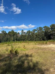 13350 Wash Fayard Rd, Biloxi, MS, 39532