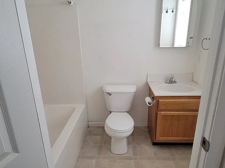 Bathroom in the Master bedroom
