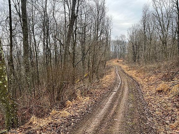 2nd image of Nalley Rd