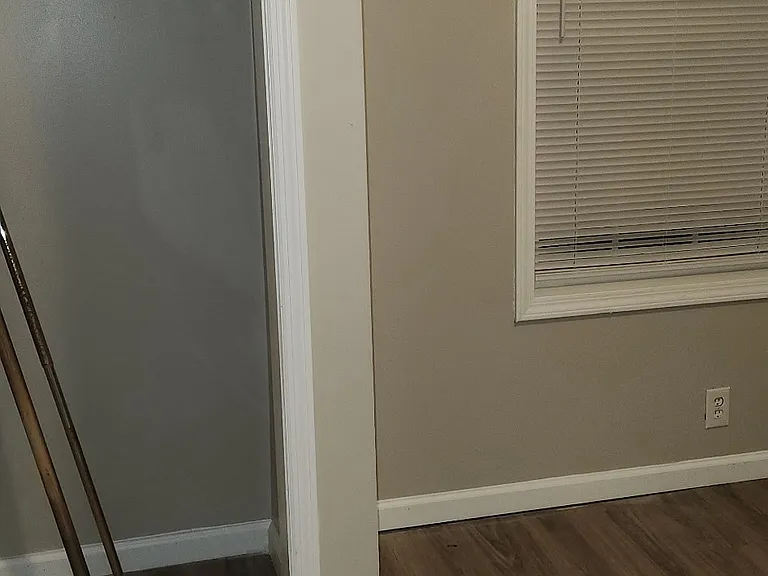 1452 Essie McIntyre Blvd — Photo 7