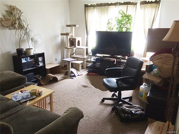 5th image of 167 Gould Ave