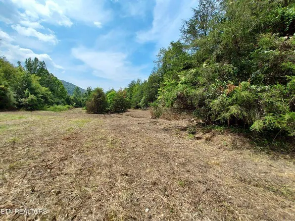 4123 Panther Creek Rd, Sneedville, TN 37869