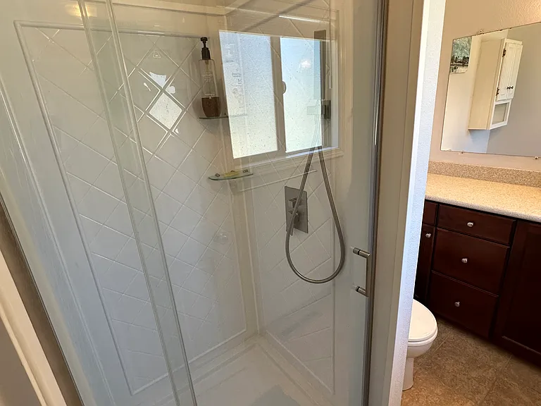 Master bathroom-shower