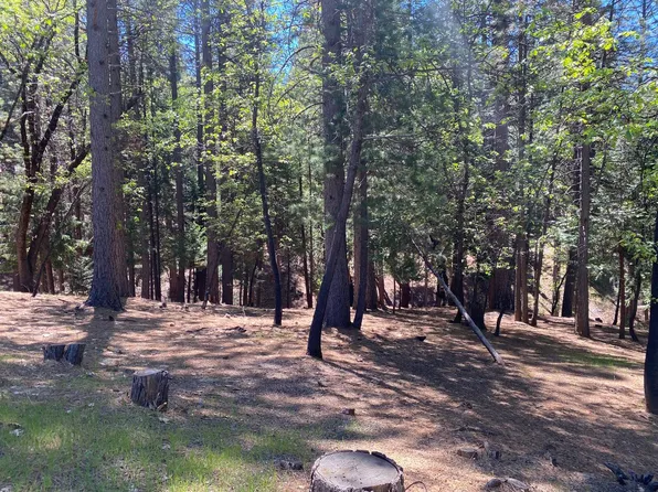 5701 Lupin Ln, Pollock Pines, CA 95726