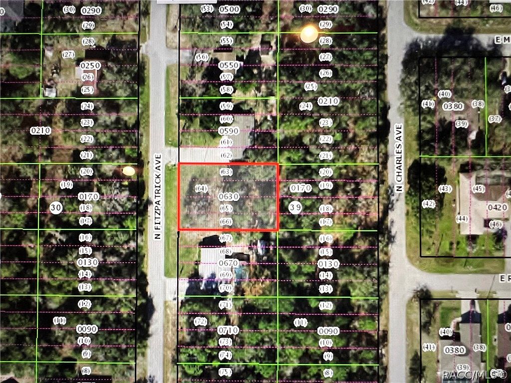 105 N Fitzpatrick Ave, Inverness, FL 34453 Zillow