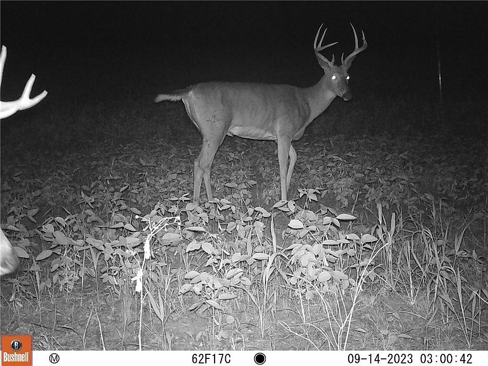 0 E Highway 6, Galt, MO 64641 Zillow