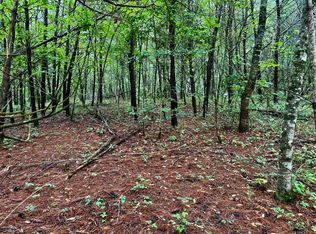 12 Brookhaven Dr, Young Harris, GA 30582