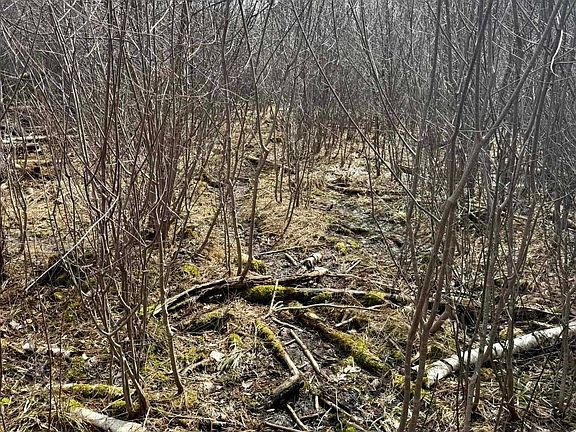 3rd image of Krause Rd