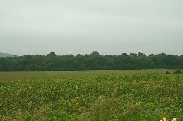 1st image of 120 Maupin Cir Lot 27