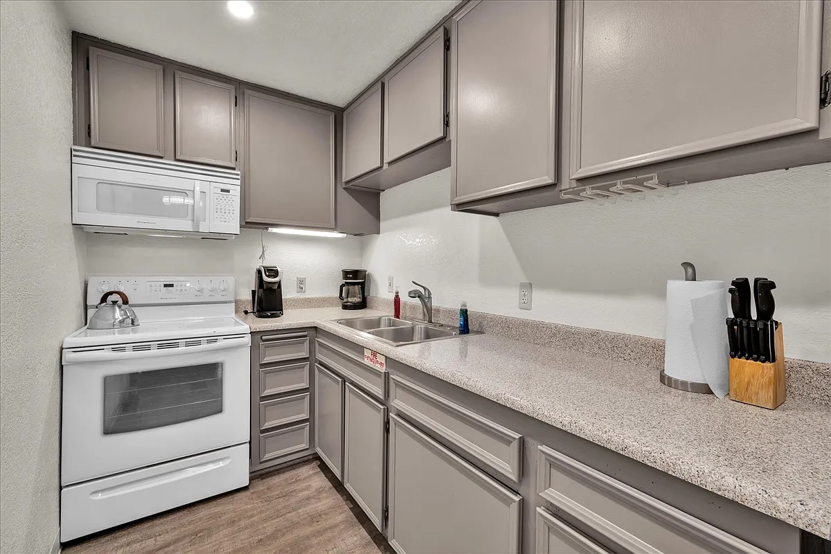 1 bed, 589 sqft, $1,300 — Photo 3