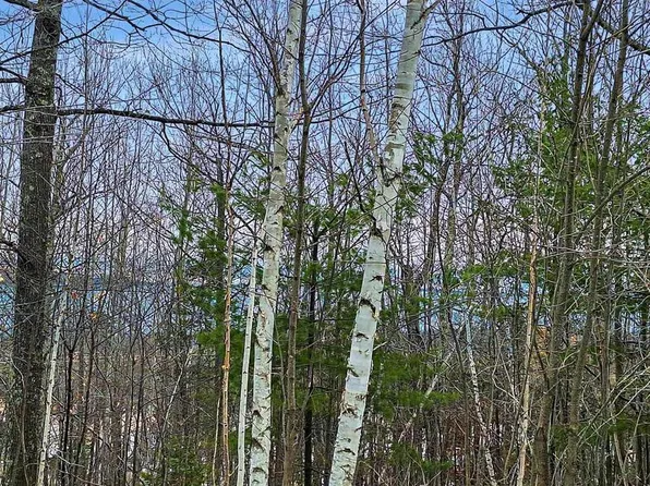 xxx Apple Hill Rd, Bayfield, WI 54814