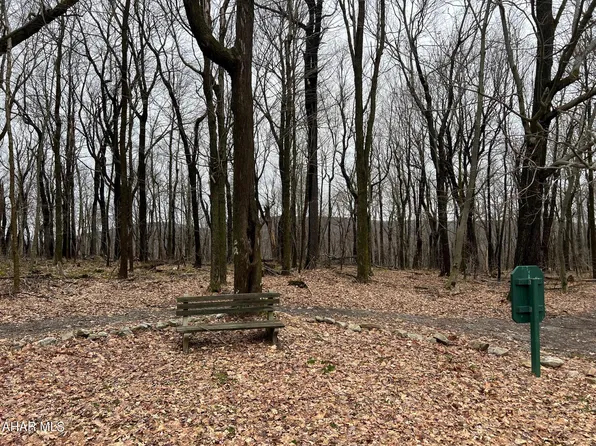 LOT 225 Ridge Run Rd, Claysburg, PA 16625