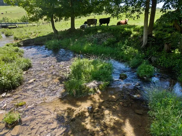 Foglesong Road & Birch Grove Rd, Ceres, VA 24318