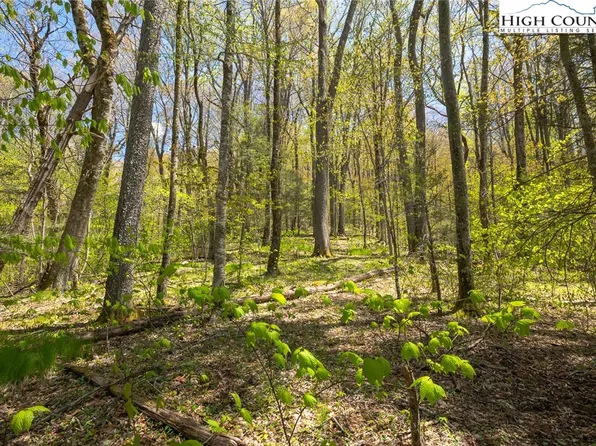 TBD Hemlock Drive, Linville, NC 28646