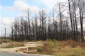 5th image of 351 Cardinal Dr
