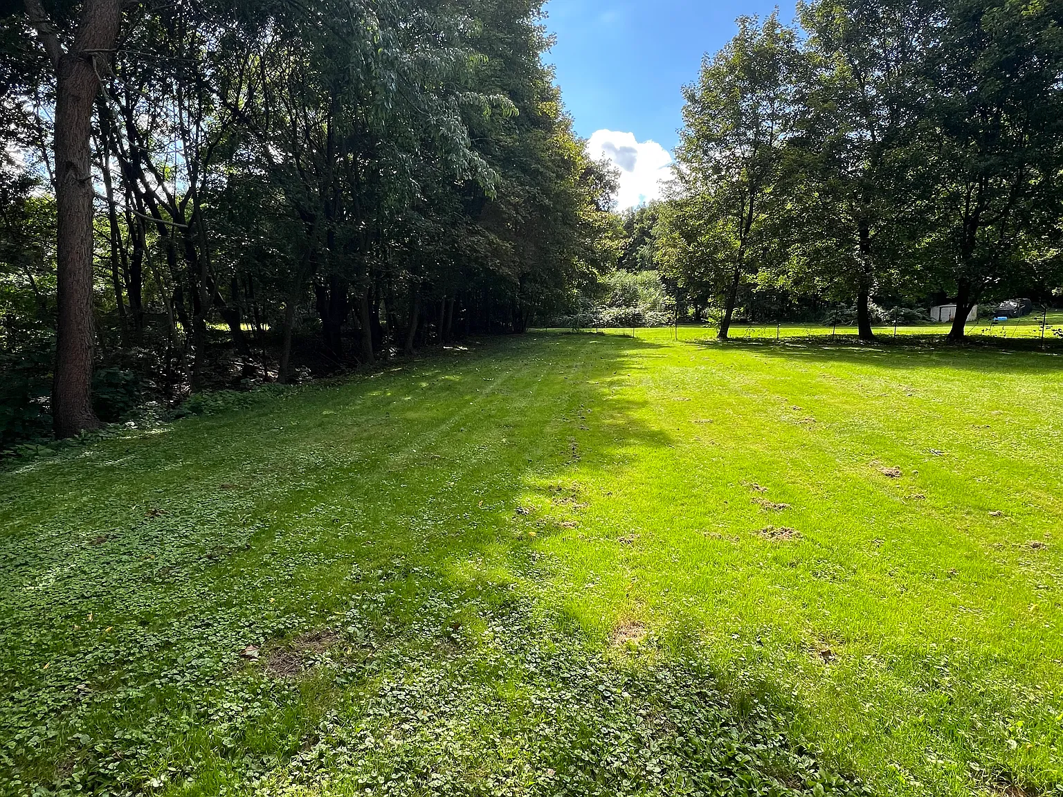 3 bed, 1000 sqft, $1,000 — Photo 3