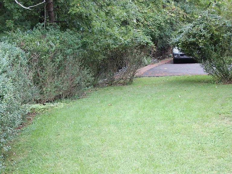 Side yard