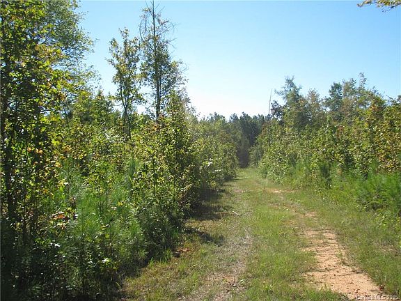4th image of 128 Ac Highway Hwy #321