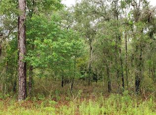 LOT 24 NE 149th Ct, Williston, FL 32696