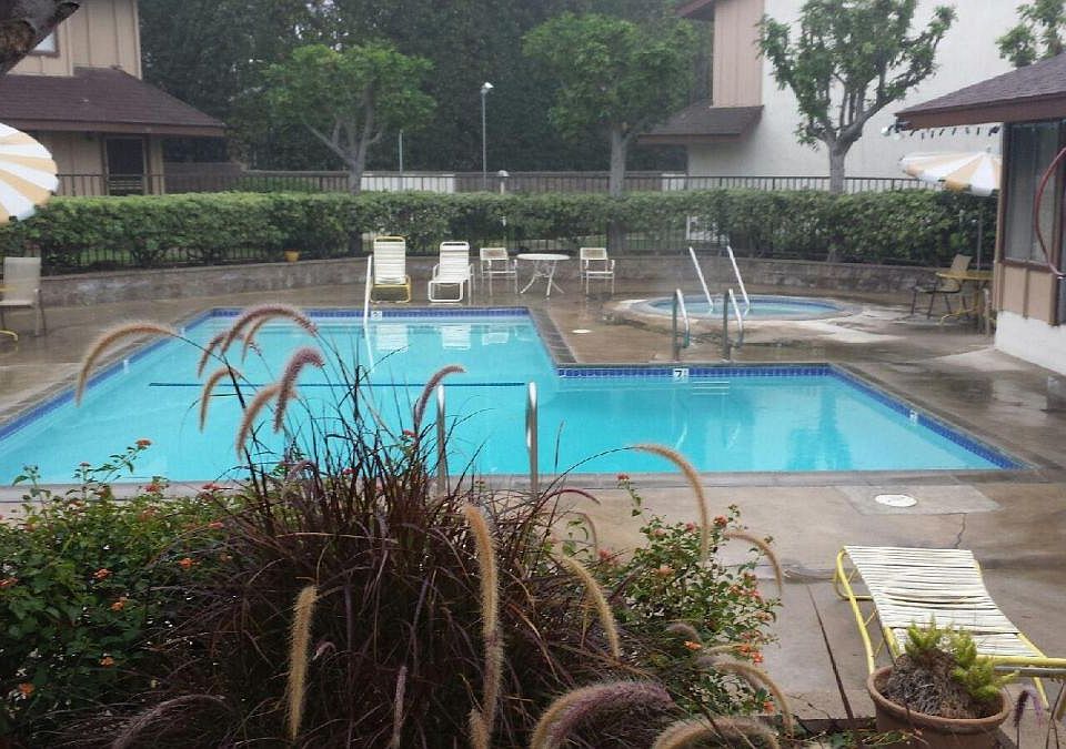 Pool and Spa