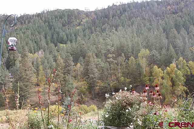 2nd image of 2235 Bear Creek Rd