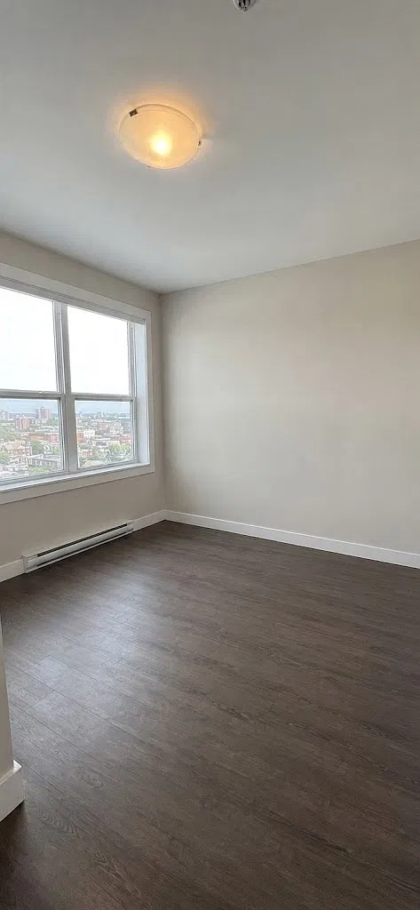 66 Weldon St. — Photo 4