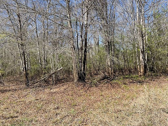 5th image of 540 County Rd