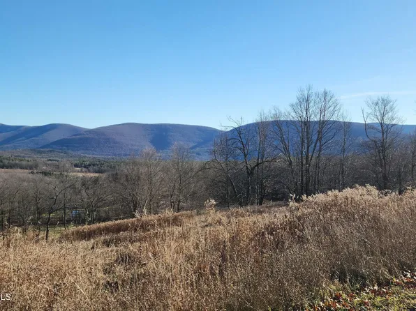 0 Bruce Cross Road, Prattsville, NY 12468