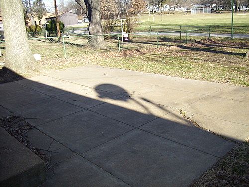 4th image of 811 Lightwood Dr