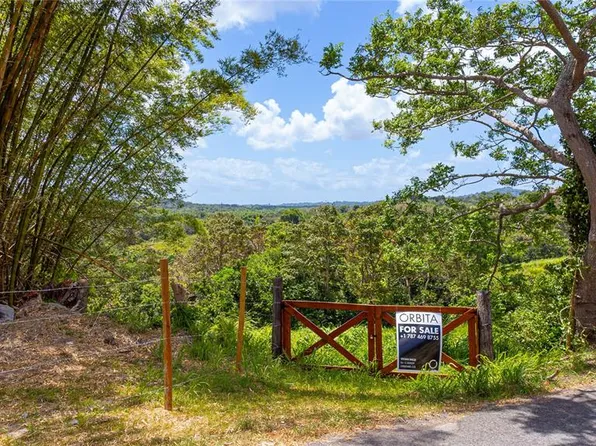 BO. VALENCIANO, JUNCOS, PR 00777