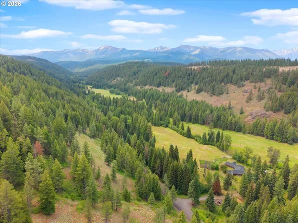 61608 Wallowa Mountian Loop, Joseph, OR 97846