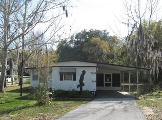 13118 Lime Ave, Grand Island, FL 32735