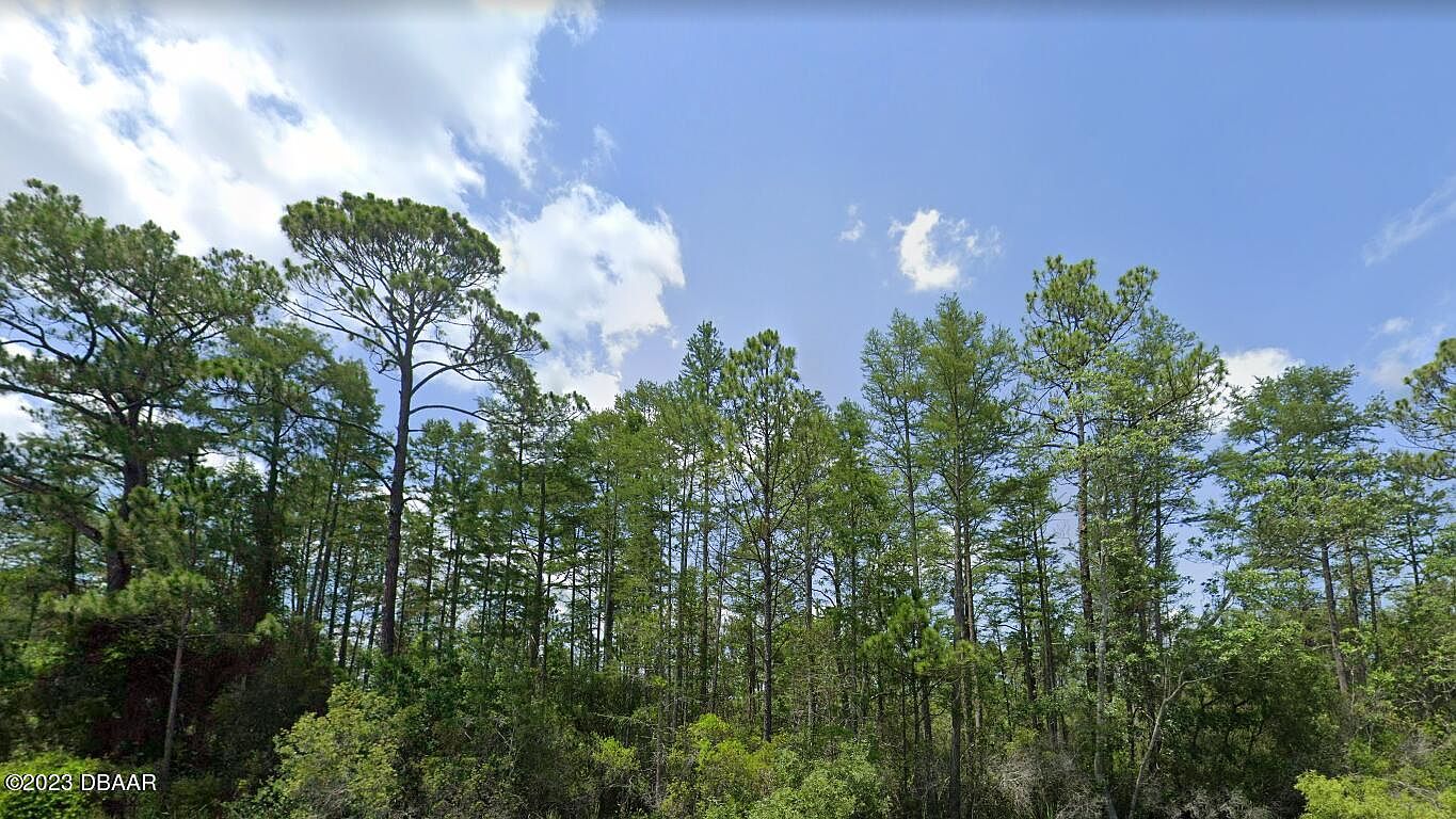 0 Name Rd, Perry, FL 32347 MLS 1113072 Zillow