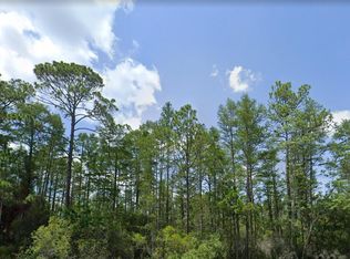 0 Name Rd, Perry, FL 32347