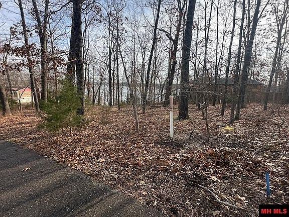 3rd image of LOT 12 Lakeview Cir