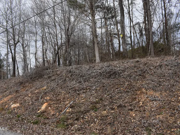 LOT 17 Jones Ridge Rd, Speedwell, TN 37870